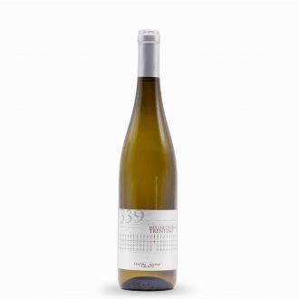 Müller Thurgau Trentino 339 final